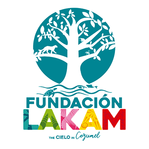 fundacion lakam